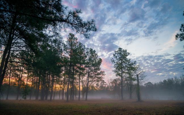 landscape, Mist Wallpapers HD \/ Desktop and Mobile Backgrounds