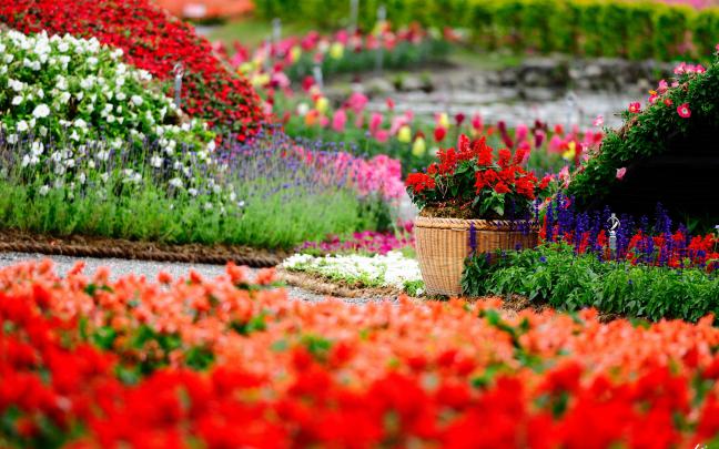 Garden Wallpapers HD