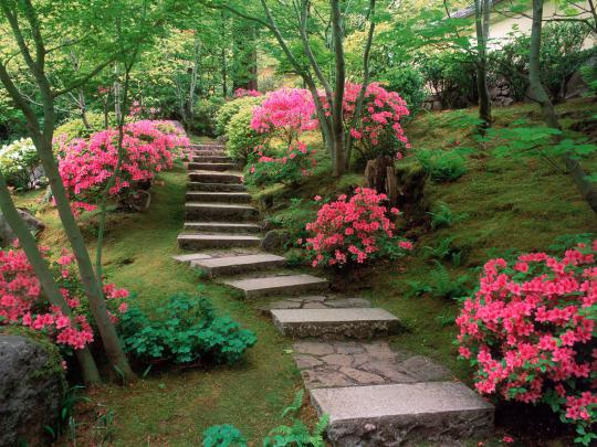 Gardens HD Wallpapers