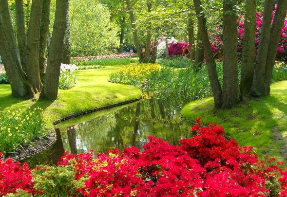 Desktop HD Wallpapers Free Downloads: Keukenhof Gardens \u2013 The 