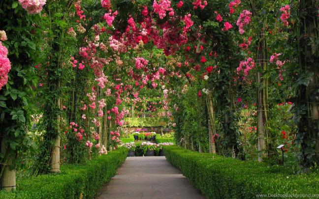 Gardens Wallpaper: Secret Gardens On Pinterest The Secret Garden 