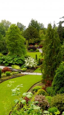 iPhone Garden Wallpaper - KoLPaPer - Awesome Free HD Wallpapers