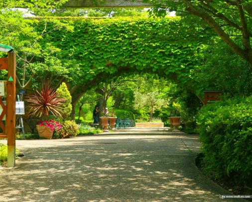 Garden Wallpapers - Full HD wallpaper | Pic Gallery