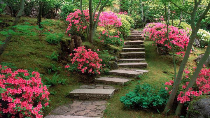 Spring Japanese Garden Picture On Wallpaper 1080p Hd - Japanese Garden 