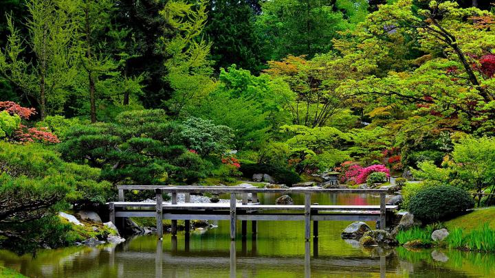 Japanese Garden Desktop Wallpaper \u00b7\u2460 