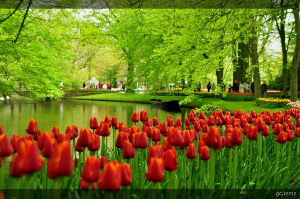 HD Garden Wallpaper -