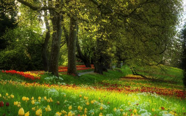 flower garden background - HD Desktop Wallpapers