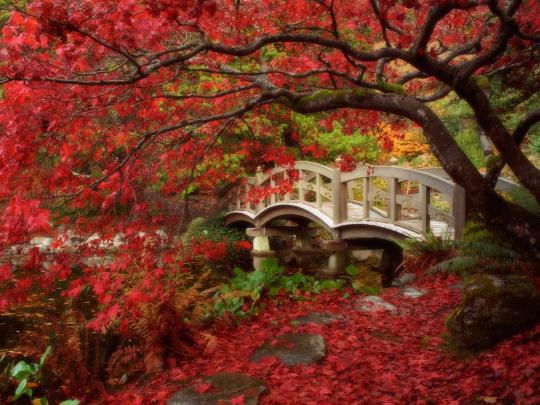 HD Wallpapers: Chinese Garden Wallpapers