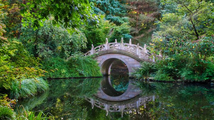 Botanical Garden Ultra HD Wallpapers