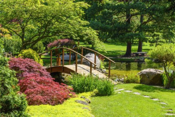 park, River, Bridge, Shrubs, Grass, Nature, Garden Wallpapers HD 