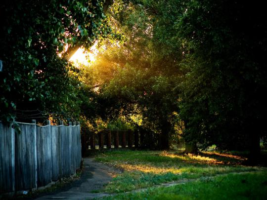 forest garden garden \u2013 Nature Forests HD Desktop Wallpaper