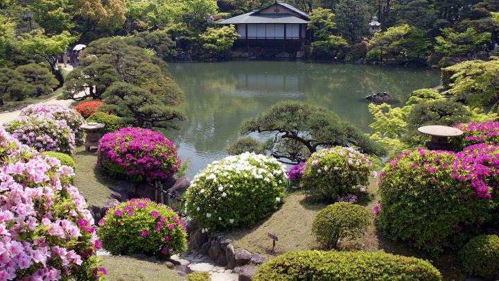 1920X1080 HD Garden Wallpaper -