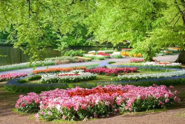netherlands, Parks, Tulips, Keukenhof, Gardens, Nature Wallpapers HD 