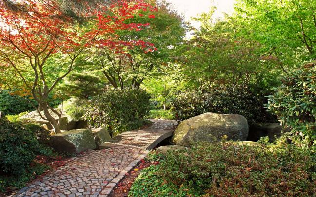 natural garden wallpaper - HD Desktop Wallpapers