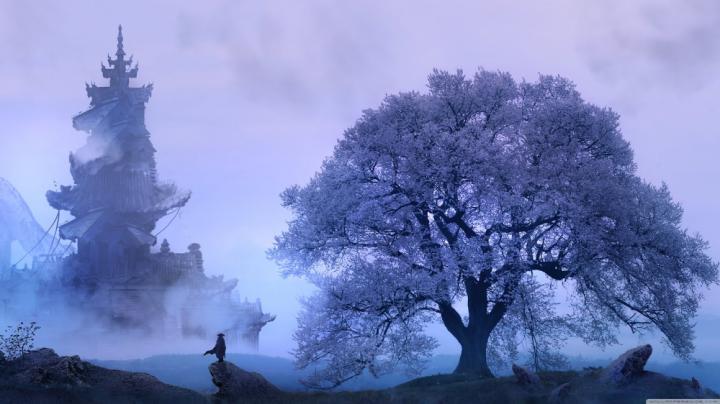 4k desktop wallpaper - HD Wallpapers Market