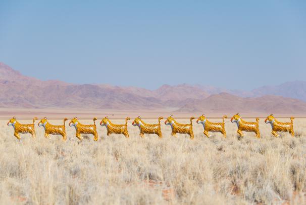 WANTS: Gray Malin\u0026#39;s New Up and Away Africa Balloons Series on SALE 