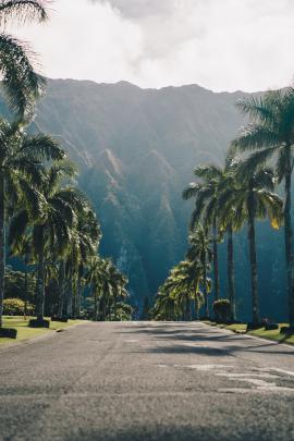 Hawaii Wallpapers: Free HD Download [500+ HQ] | Unsplash