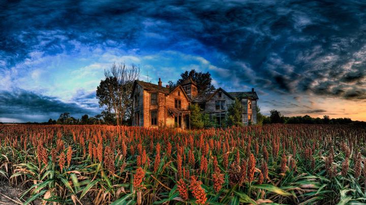 Nature HD 7 DESKTOP WALLPAPERS 1920\u00d71080 For Windows7,8,8.1,XP,Vista 