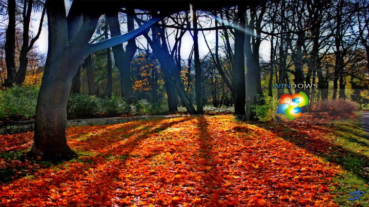 [47+] Windows Autumn Desktop Wallpaper 