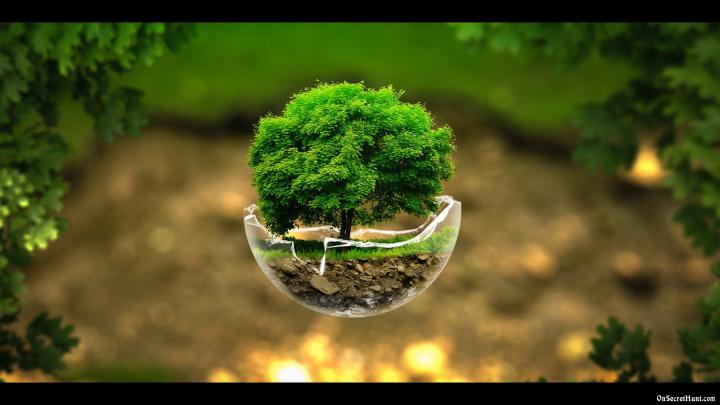 Wallpaper Hd 1080p Free Download For Pc Nature - S\/r Forex Trading
