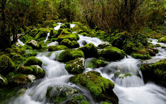 Waterfall Rock Green Moss Flow Water Hd Desktop 2560x1600 