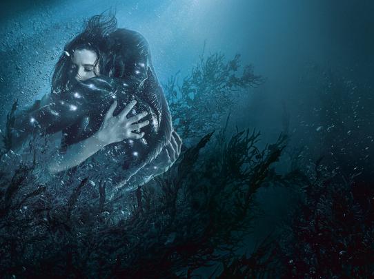 The Shape of Water Wallpapers, Pictures, Images