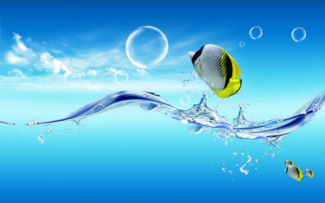 Widescreen 1080p ~ Wallpaper Hd 1080p