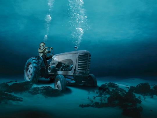 Bonewallpaper - Best desktop HD Wallpapers: Funny desktop Wallpapers