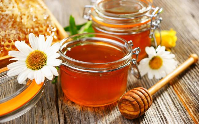 Honey wallpapers HD for desktop backgrounds