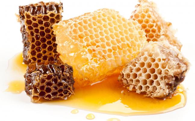 Honey Wallpaper HD Download