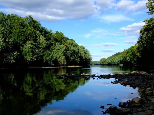 river wallpaper jungle - HD Desktop Wallpapers