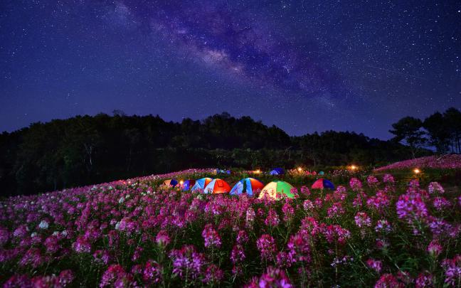 Camping Wallpapers HD
