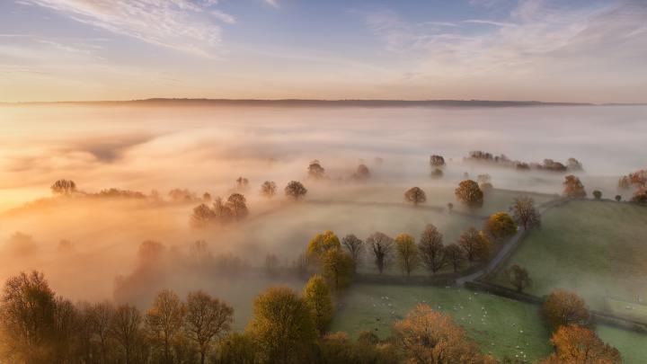 nature, Landscape, Mist, Trees Wallpapers HD \/ Desktop and Mobile 