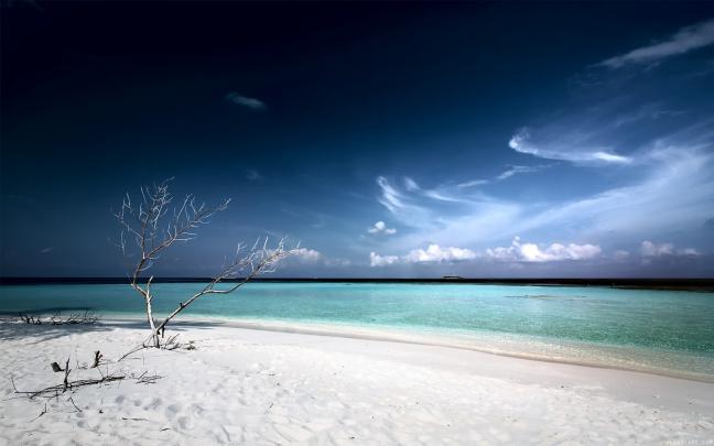 Hot Beaches HD Wallpapers \u2013 wallpaper202