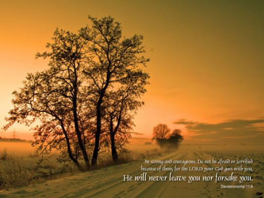 Lenten Special: Free Inspirational Christian Nature HD Desktop 