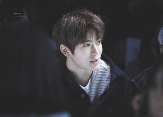Jung Jaehyun NCT Wallpapers