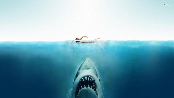 Jaws Wallpapers