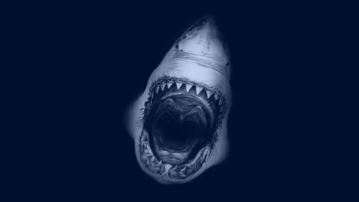 Jaws Wallpapers
