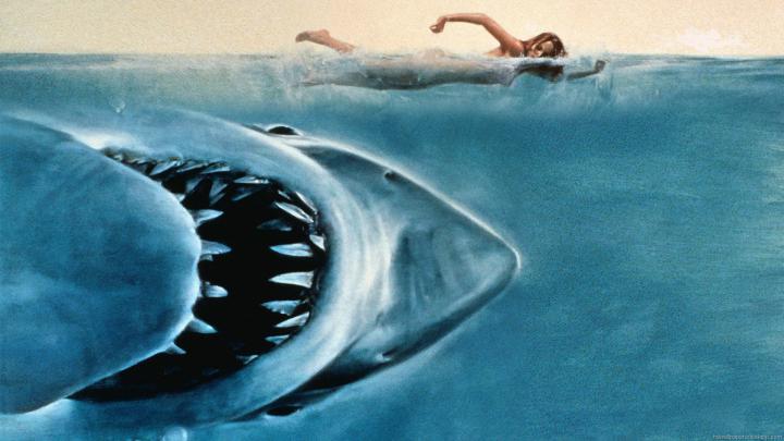 [37+] Jaws HD Wallpaper 