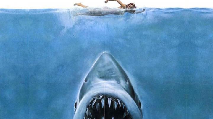Jaws Wallpaper for Desktop 1920x1080 Full HD