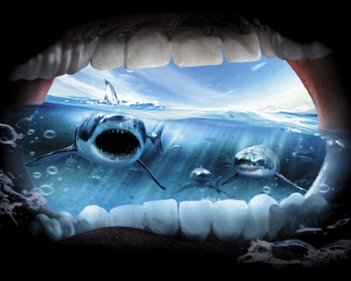 [47+] Jaws Wallpaper Widescreen 