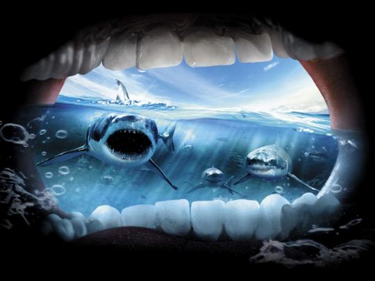 Jaws Wallpaper and Background Image | 1600x1200 | 320805 - Wallpaper 
