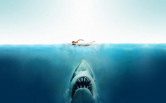 Jaws, Movies, Shark, Split View Wallpapers HD \/ Desktop and Mobile 