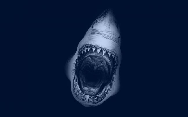 Download Jaws Movie Poster desktop wallpapers Wallpaper - GetWalls.io