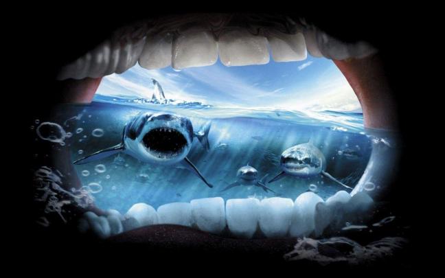 Jaws Wallpapers