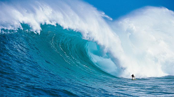 Jaws Wallpaper (73+ images)