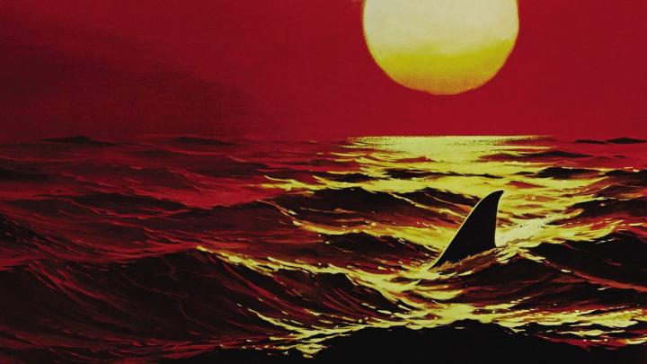 \u200eJaws 2 (1978) directed by Jeannot Szwarc \u2022 Reviews, film + cast 