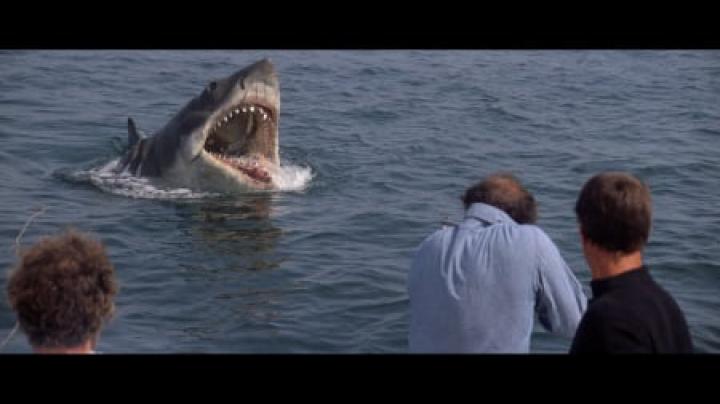 JAWS - Movies \u0026 Entertainment Background Wallpapers on Desktop Nexus 