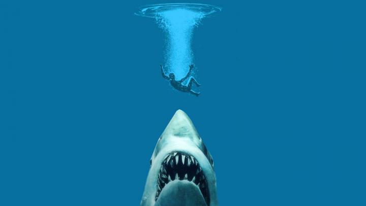Jaws HD Wallpaper -