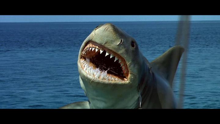 Jaws Wallpaper (73+ images)